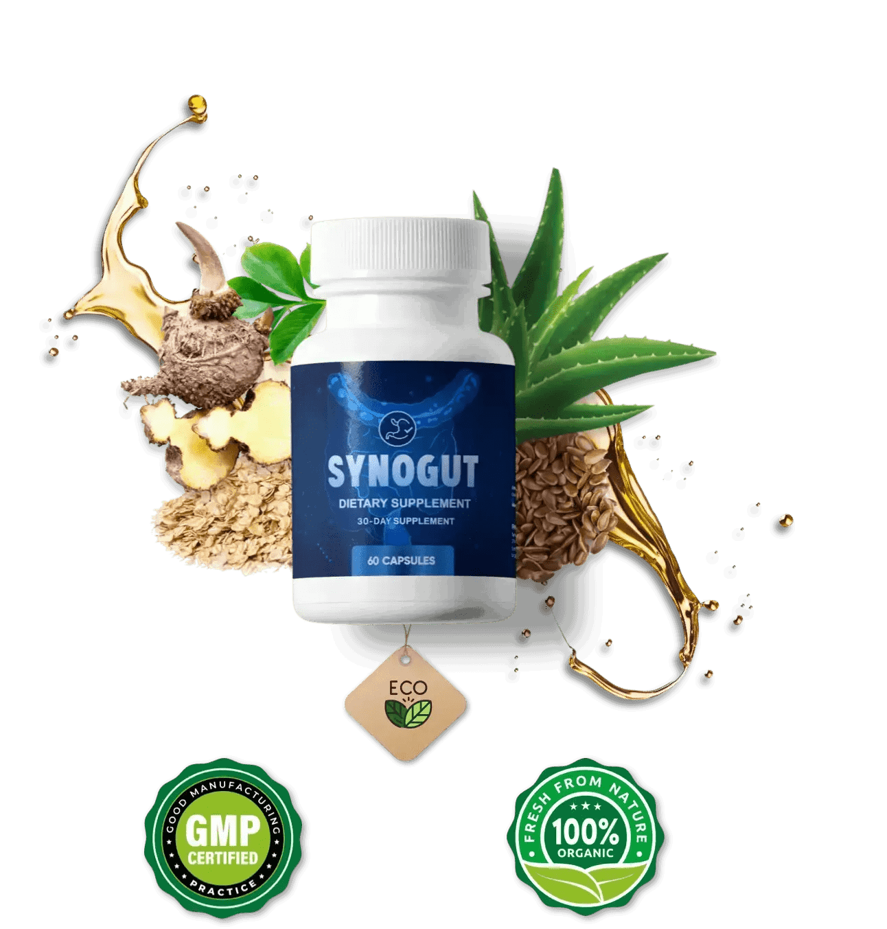 Synogut™ - Official Website | #1 Gut Health Sapplement